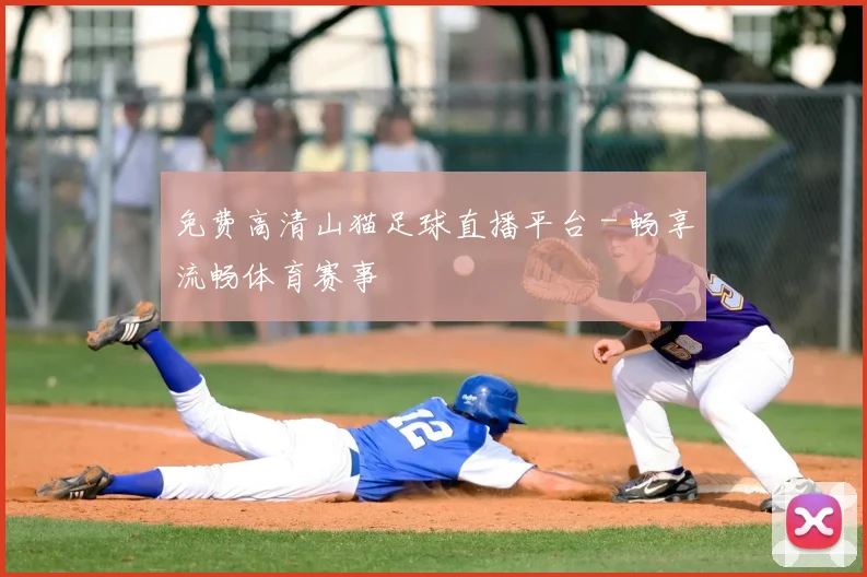 免费高清山猫足球直播平台 - 畅享流畅体育赛事