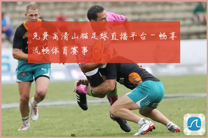 免费高清山猫足球直播平台 - 畅享流畅体育赛事