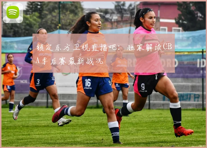 锁定东方卫视直播吧：独家解读CBA季后赛最新战况