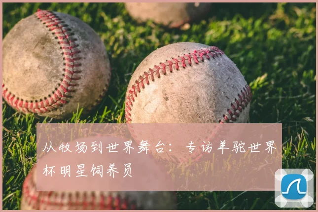 从牧场到世界舞台：专访羊驼世界杯明星饲养员