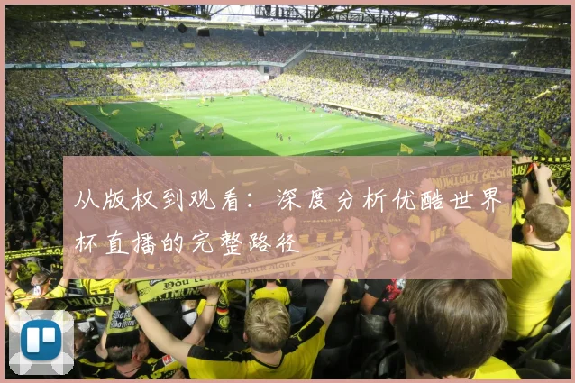 从版权到观看：深度分析优酷世界杯直播的完整路径