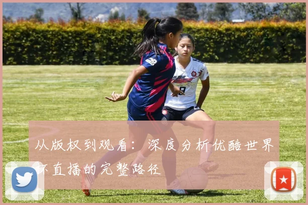 从版权到观看：深度分析优酷世界杯直播的完整路径