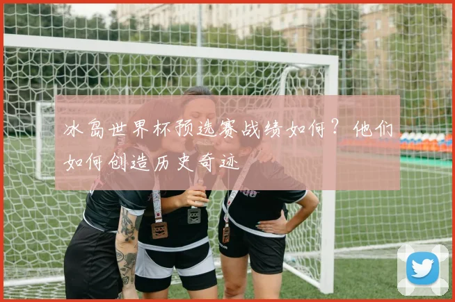 冰岛世界杯预选赛战绩如何？他们如何创造历史奇迹