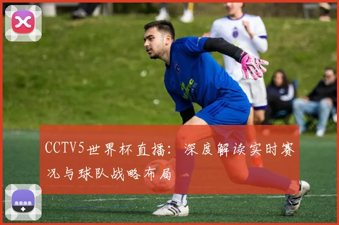 CCTV5世界杯直播：深度解读实时赛况与球队战略布局