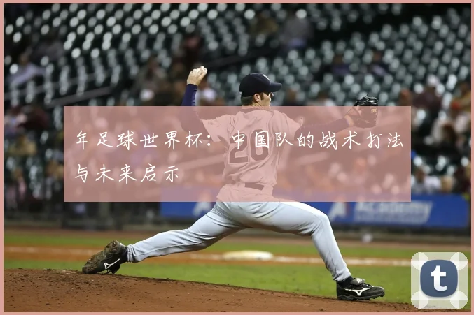 年足球世界杯：中国队的战术打法与未来启示