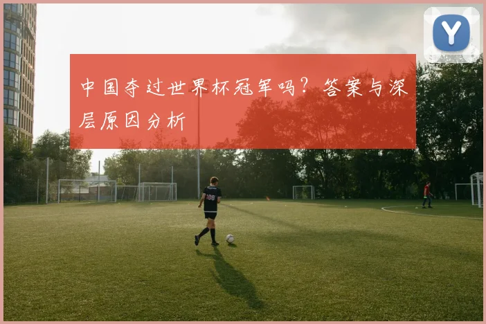 中国夺过世界杯冠军吗？答案与深层原因分析