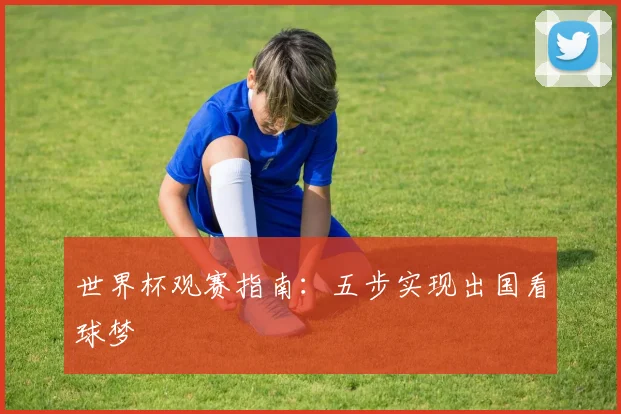 世界杯观赛指南:五步实现出国看球梦