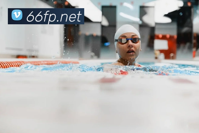 平台展示图